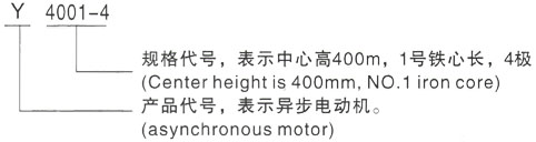 西安泰富西玛Y系列(H355-1000)高压YKS5001-2三相异步电机型号说明